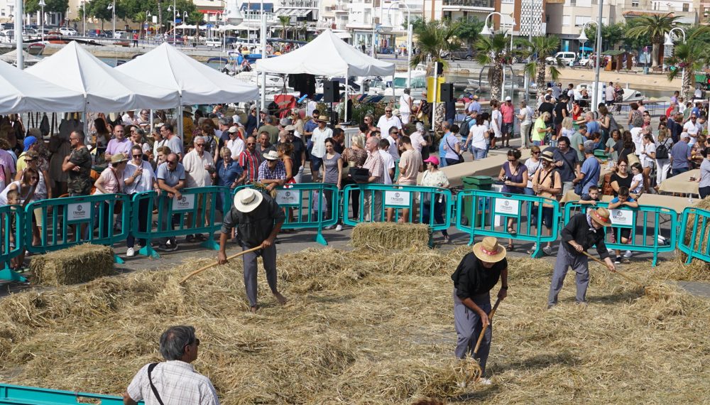 #Fotogaleria: Més de 2.500 persones a Festa de la Sega al port de l’Ampolla