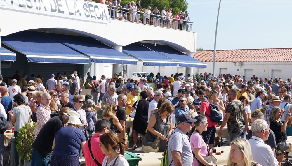 #Fotogaleria: Més de 2.500 persones a Festa de la Sega al port de l’Ampolla