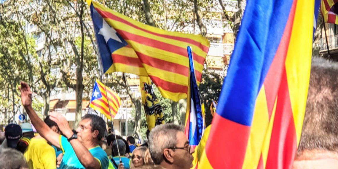 #Fotogaleria: La manifestació de la Diada des del tram ebrenc