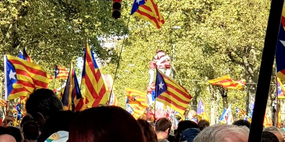 #Fotogaleria: La manifestació de la Diada des del tram ebrenc