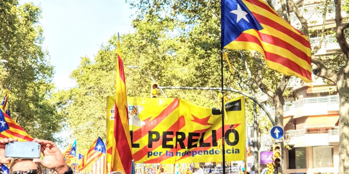 #Fotogaleria: La manifestació de la Diada des del tram ebrenc