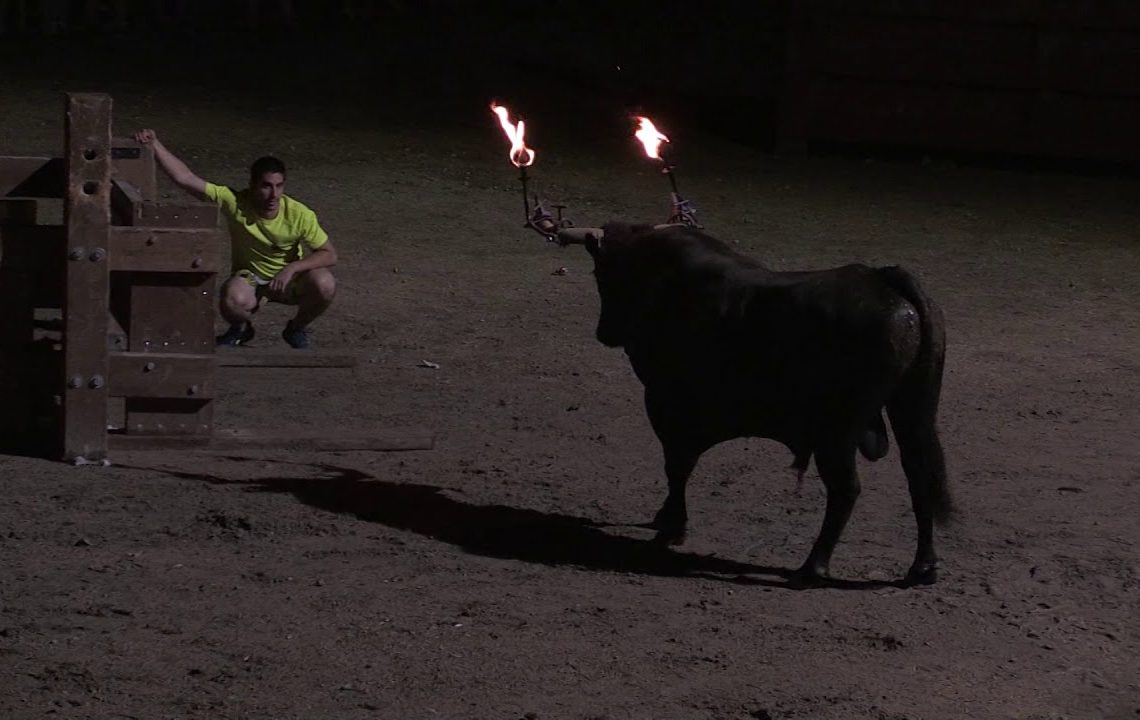 #Enquesta: Esteu a favor de prohibir els correbous a Catalunya?