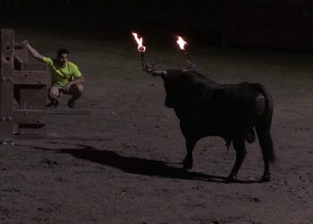 #Enquesta: Esteu a favor de prohibir els correbous a Catalunya?