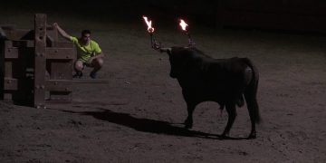 #Enquesta: Esteu a favor de prohibir els correbous a Catalunya?