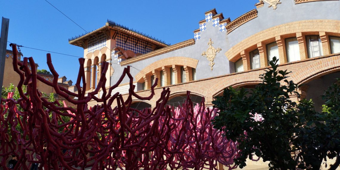 #Fotogaleria: Així ha estat el festival A Cel Obert 2019 a Tortosa