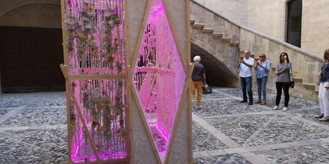 #Fotogaleria: Així ha estat el festival A Cel Obert 2019 a Tortosa