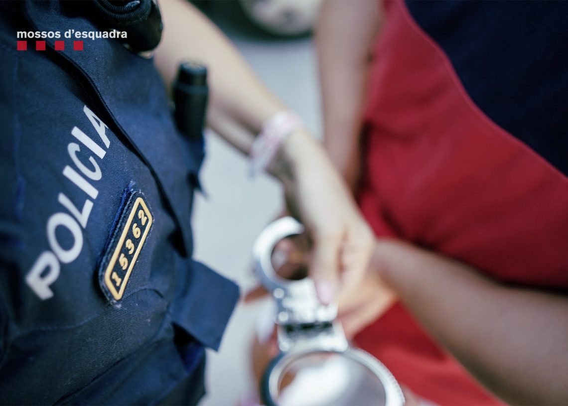 Detingut un caçador de 18 anys al Perelló per matar un gat en una finca