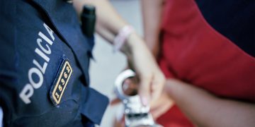 Detingut un caçador de 18 anys al Perelló per matar un gat en una finca