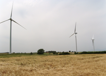 #Comunicat de la Unió de Pagesos sobre la paralització dels parcs eòlics dels Aligars i de la Tossa-Mola d’en Pasqual