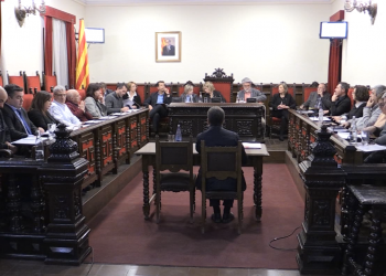 Vox denunciarà l’Ajuntament de Tortosa si no penja el retrat del rei en un lloc preferent