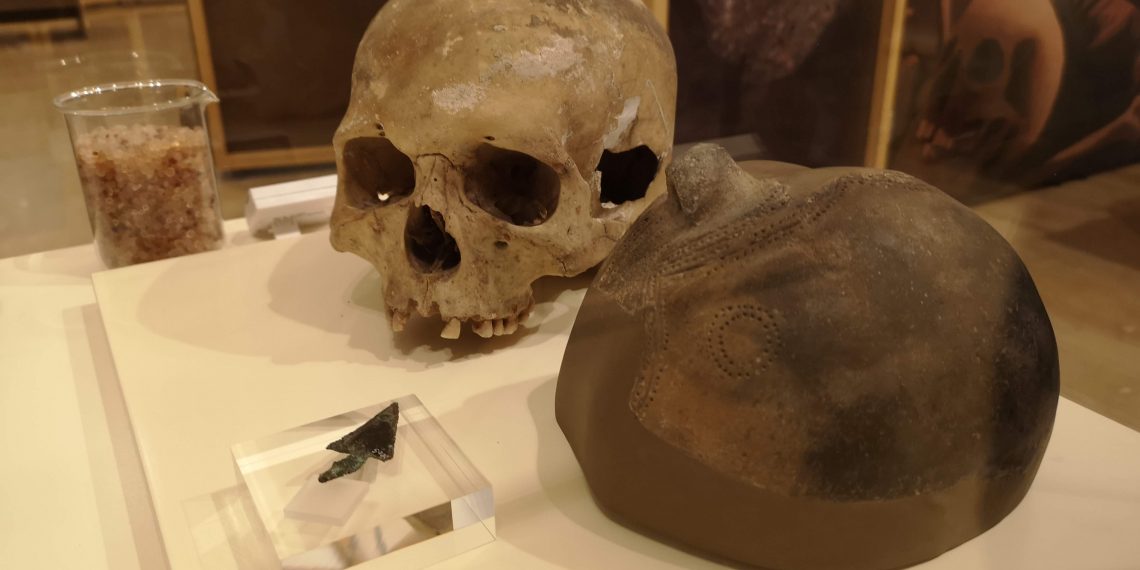 Últims dies per veure l’exposició ‘La fi és el principi’ al Museu de Tortosa