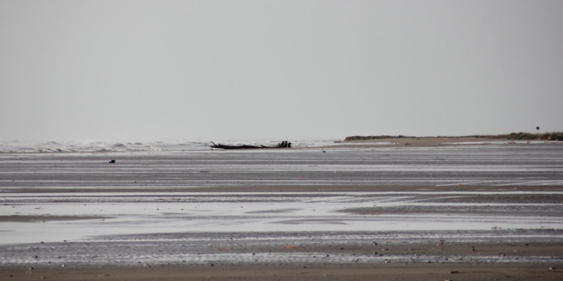 Caparrós reclama una ‘reacció històrica’ davant de la catàstrofe al Delta