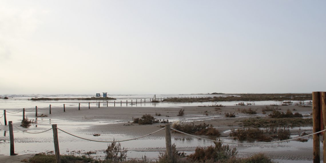 Caparrós reclama una ‘reacció històrica’ davant de la catàstrofe al Delta