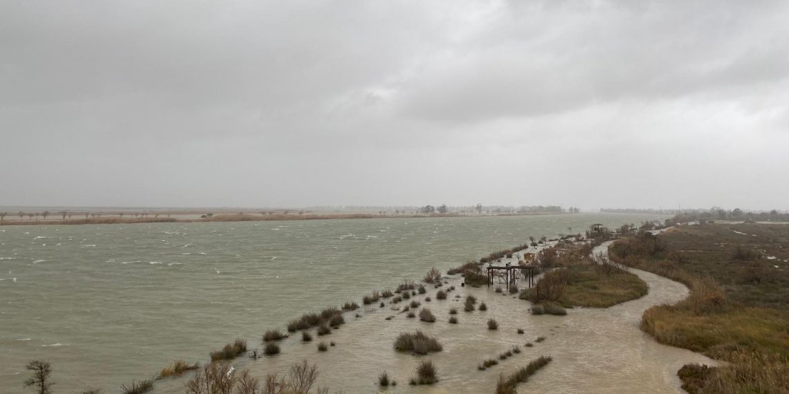 #Fotogaleria: el temporal Glòria agreuja la regressió a la costa de Deltebre