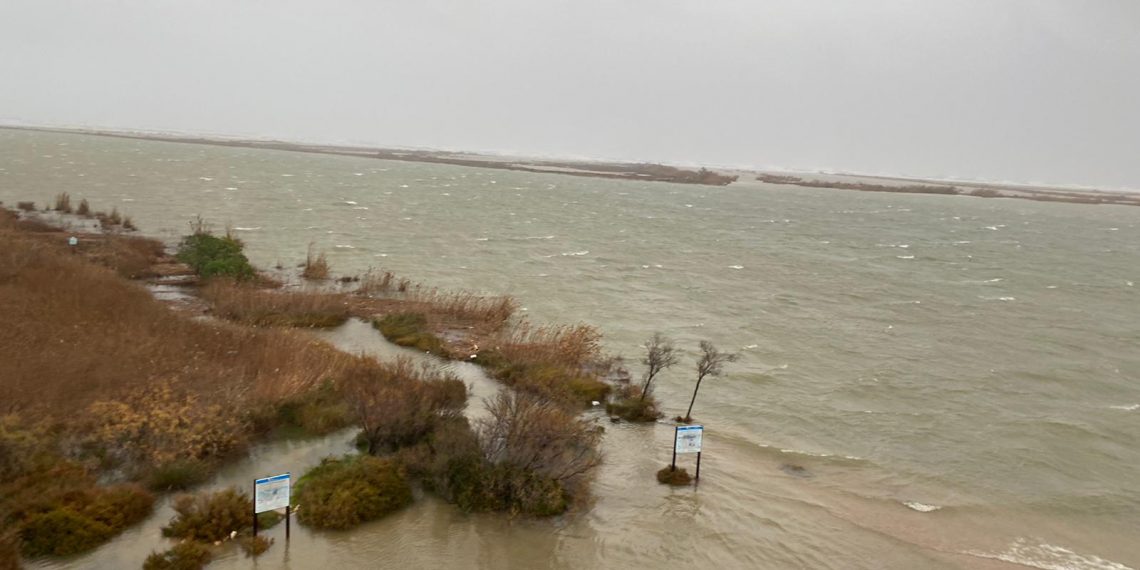#Fotogaleria: el temporal Glòria agreuja la regressió a la costa de Deltebre