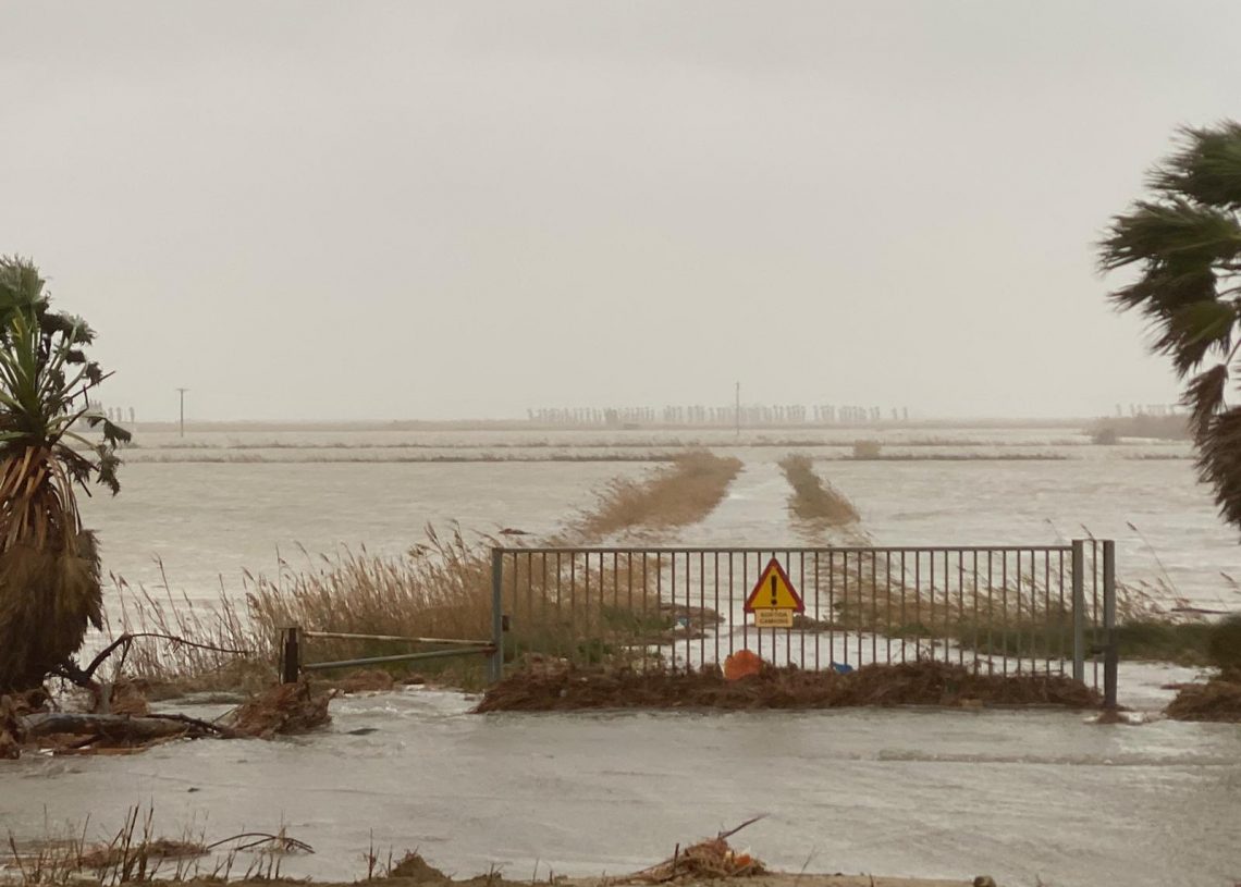 #Fotogaleria: el temporal Glòria agreuja la regressió a la costa de Deltebre
