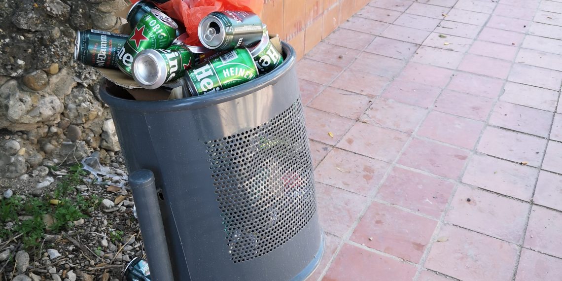 Les imatges del passeig de les Cultures han patit actes vandàlics des del minut zero