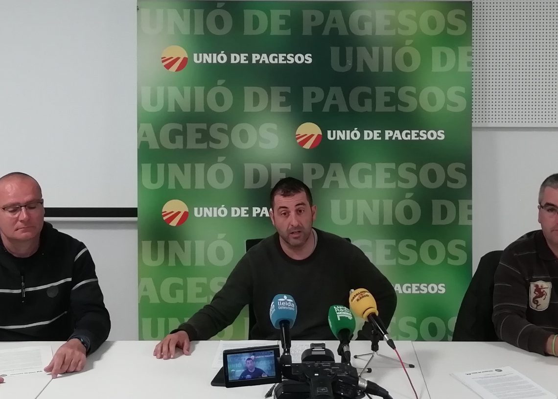 Unió de Pagesos reclama mesures urgents per reflotar el mercat de l’oli d’oliva