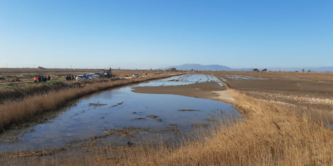 [#Fotogaleria] UP reclama que no es renuncie a les solucions dures per salvar el Delta