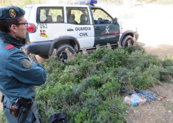 Decomissats a Tortosa més de 100 quilos de llentiscle recol·lectat sense autorització