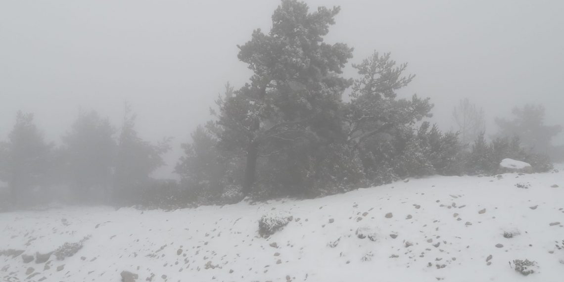 [#Fotogaleria] La nevada a Caro que ens perdrem pel confinament
