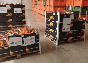 Cítrics Terres de l’Ebre dóna 1.000 quilos de taronges a Creu Roja i Càritas pel covid-19