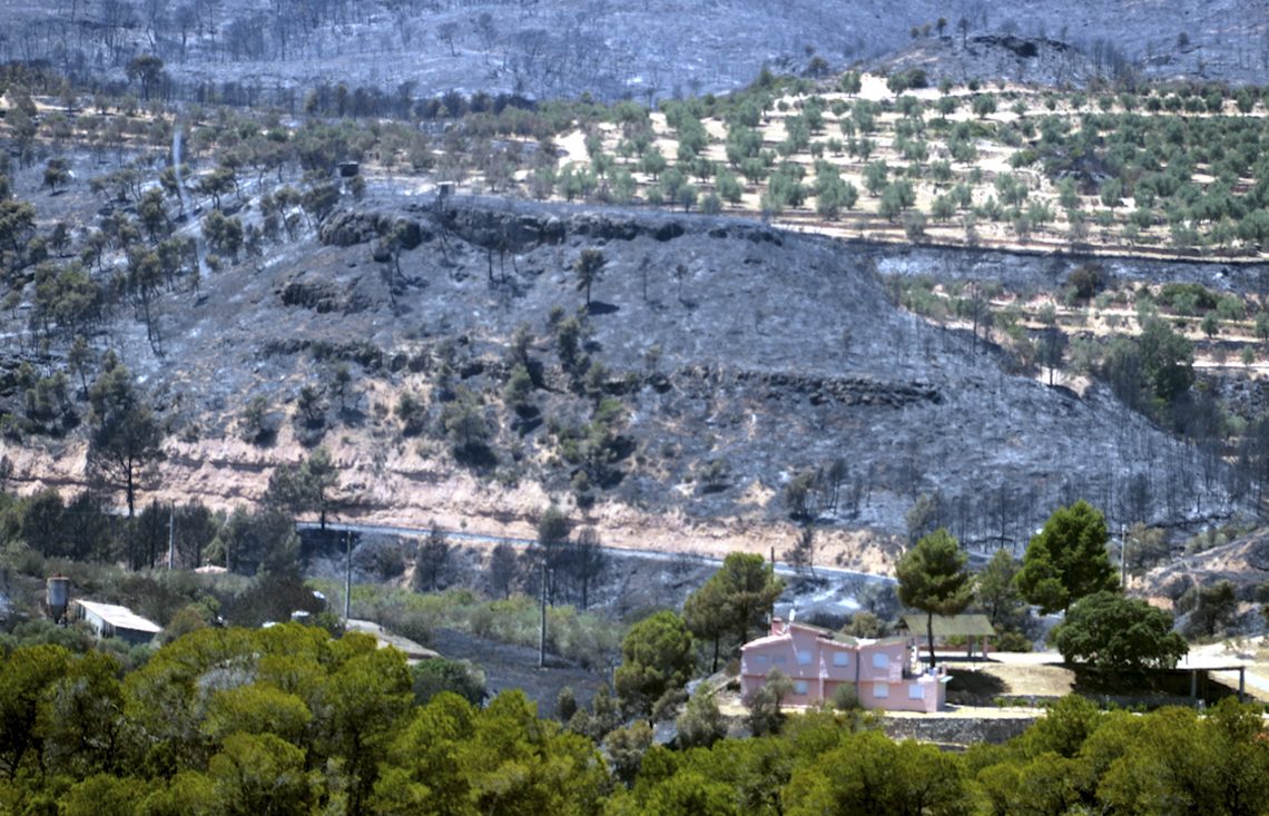 UP denuncia que l’Estat abandona la recuperació de les explotacions afectades per l’incendi a la Ribera d’Ebre