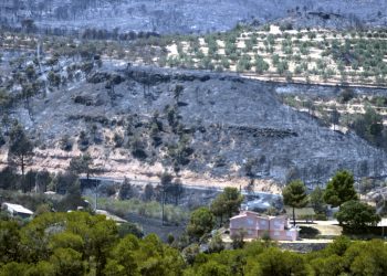 UP denuncia que l’Estat abandona la recuperació de les explotacions afectades per l’incendi a la Ribera d’Ebre