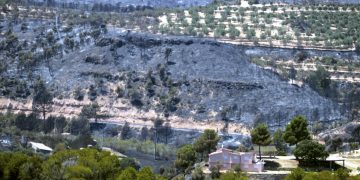 UP denuncia que l’Estat abandona la recuperació de les explotacions afectades per l’incendi a la Ribera d’Ebre