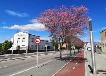 ‘Els canvis que hem de fer’, per Brian Cutts