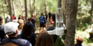 La pandèmia obliga a fer virtual el projecte d’art efímer de Lo Pati als Ports