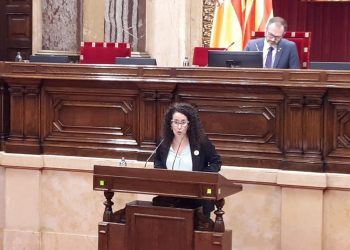 Fornós (ERC): ‘Protegint les oliveres monumentals salvaguardem el nostre patrimoni natural, agrari i cultural’