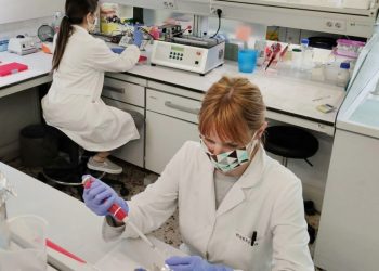 Un grup de recerca de la URV crea un test ràpid més fiable per detectar el coronavirus