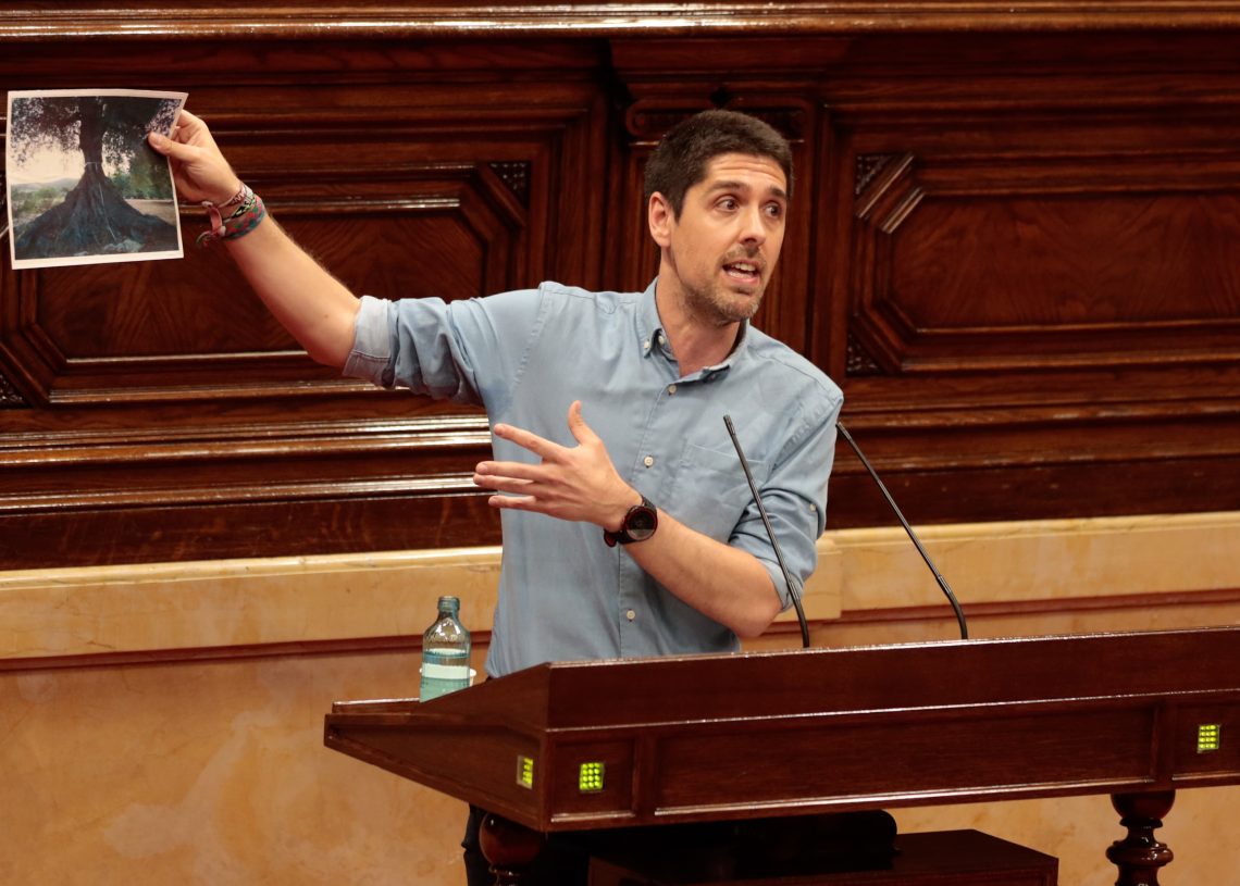 El Parlament aprova la llei de protecció de les oliveres monumentals