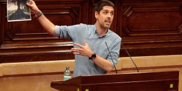 El Parlament aprova la llei de protecció de les oliveres monumentals