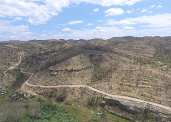 La zona cremada per l’incendi de la Ribera d’Ebre, un any després a vista de dron