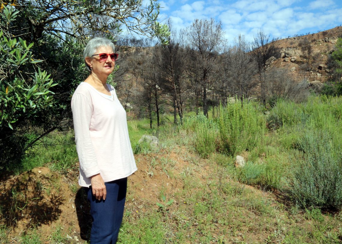 Els agricultors afectats pel foc de la Ribera, decidits a refer-se entre la fermesa, la desconfiança i la melancolia