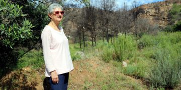 Els agricultors afectats pel foc de la Ribera, decidits a refer-se entre la fermesa, la desconfiança i la melancolia