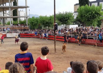 La Coordinadora per l’Abolició dels Correbous assegura que ha influït perquè enguany no se celebrin actes taurins