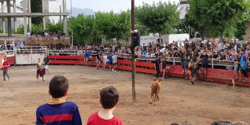 La Coordinadora per l’Abolició dels Correbous assegura que ha influït perquè enguany no se celebrin actes taurins