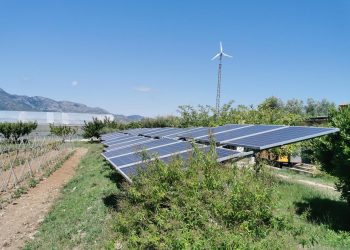 Una vintena de projectes d’empreses del Baix Ebre i Montsià rebran una injecció de 580.000 euros