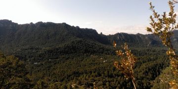 La fundació Global Nature renuncia a la iniciativa Maestrazgo-Els Ports