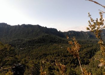 ‘Per una agència de la natura  per al món rural i des del món rural’, per Eva Amposta i Jordi Jordan