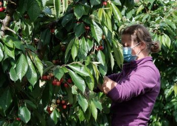 L’atur a les comarques de Tarragona puja en 8.700 persones i la taxa supera el 15%