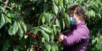 L’atur a les comarques de Tarragona puja en 8.700 persones i la taxa supera el 15%