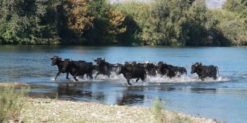 ‘Per una agència de la natura  per al món rural i des del món rural’, per Eva Amposta i Jordi Jordan