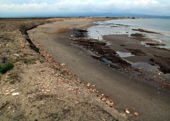 El govern espanyol elabora internament un pla de protecció del Delta i descarta una comissió mixta amb la Generalitat
