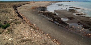 El govern espanyol elabora internament un pla de protecció del Delta i descarta una comissió mixta amb la Generalitat