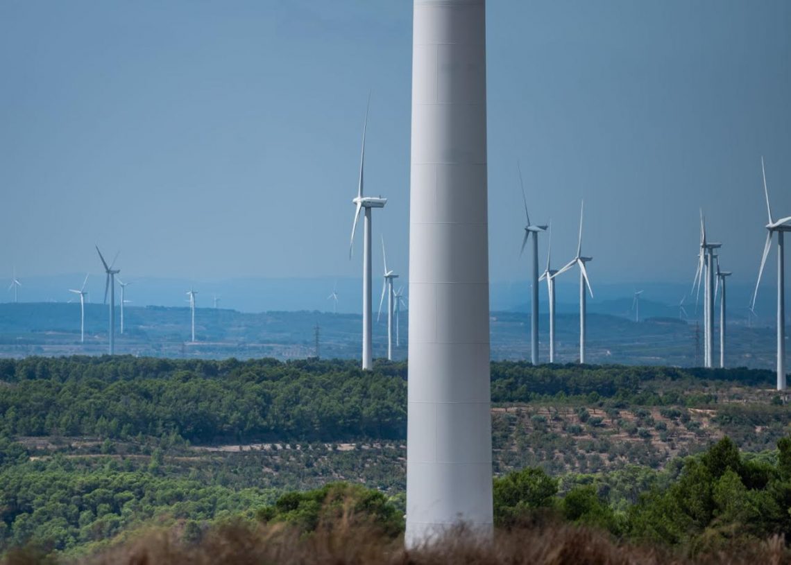 Celebren la desestimació de dos dels parcs èolics projectats a la Terra Alta