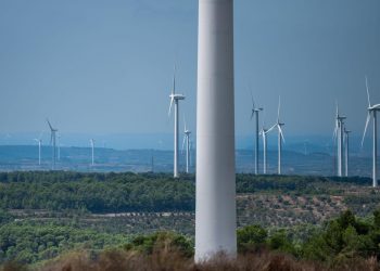 Celebren la desestimació de dos dels parcs èolics projectats a la Terra Alta